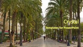  Presentation with palm sunday christian jesus - Audience pleasing PPT theme consisting of natural morning - tropical palm alley in alicante backdrop and a tawny brown colored foreground