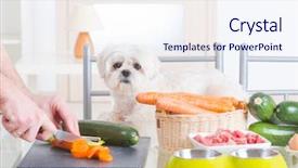  Presentation with organic - Audience pleasing presentation design consisting of vegetables animals - preparing natural natural organic food backdrop and a sky blue colored foreground