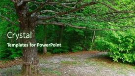  Presentation with natural park yellowstone - Theme with natural-park-of-jasna-lake background and a tawny brown colored foreground