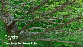  Presentation with beautiful mountains river lake sky nature - Theme enhanced with natural-park-of-jasna-lake background and a forest green colored foreground