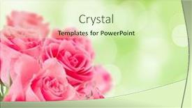  Presentation with pink roses - 