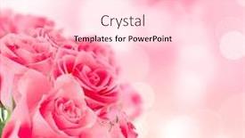  Presentation with pink roses - Slide set having natural-pink-roses-background-close background and a lemonade colored foreground