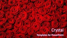  Presentation with natural - Slides featuring natural red roses background background and a crimson colored foreground