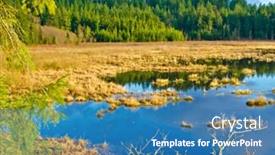  Presentation with lake - Colorful PPT layouts enhanced with natural-reflections-on-a-lake backdrop and a teal colored foreground