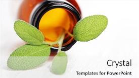  Presentation with aromatherapy oil - Beautiful slide set featuring natural remedies - sage herb leaves backdrop and a white colored foreground