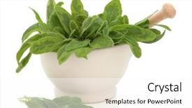  Presentation with sage - Beautiful PPT theme featuring natural remedies - variegated sage herb leaf sprigs backdrop and a white colored foreground
