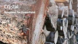  Presentation with cacao tree - Presentation theme with natural resources coal - tree felling background and a coral colored foreground