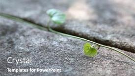  Presentation with rock wall - PPT theme having natural-rock-stone-wall background and a gray colored foreground