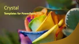  Presentation with grown - Beautiful slides featuring natural rose in exotic bizarre colors grown backdrop and a tawny brown colored foreground