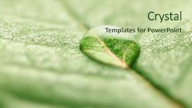  Presentation with water science - Cool new presentation with natural science - closeup of water drop backdrop and a soft green colored foreground