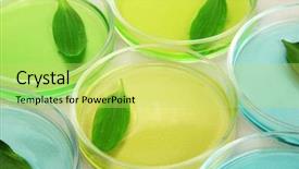  Presentation with genetically - Presentation theme with natural science - genetically modified leaves tested background and a yellow colored foreground