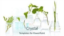  Presentation with test tubes - Slide set consisting of natural science - plants in test tubes isolated background and a sky blue colored foreground