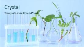  Presentation with tubes - Slide deck with natural science - plants in test tubes background and a sky blue colored foreground