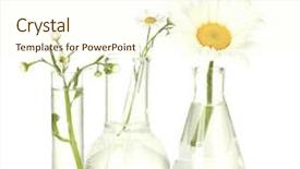  Presentation with science plant - Cool new PPT theme with natural science - test-tubes with a transparent solution backdrop and a cream colored foreground