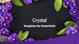  Presentation with free - Beautiful presentation design featuring natural setting of flowers and stones with free space in the center with stone texture backdrop and a dark gray colored foreground