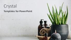  Presentation with aloe vera - Slide deck consisting of natural-spa-concept-with-aloe background and a white colored foreground