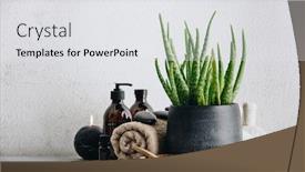  Presentation with aloe vera - PPT layouts with natural-spa-concept-with-aloe background and a white colored foreground