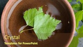  Presentation with spa - Presentation design with natural-spa-with-fresh-birch background and a tawny brown colored foreground