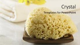  Presentation with marine - Slides consisting of natural sponge in front background and a  colored foreground