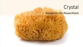  Presentation with natural - Colorful presentation enhanced with natural sponge isolated on white backdrop and a blonde colored foreground
