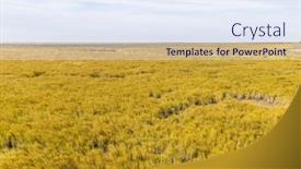  Presentation with swamp - Presentation theme having natural-swamp-in-autumn-landscape background and a sky blue colored foreground