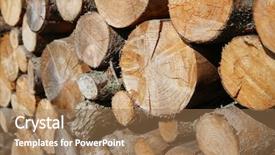  Presentation with nature big tree - Presentation theme consisting of natural tree stumps may used background and a coral colored foreground