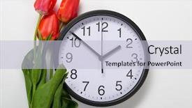 Presentation with crystal natural flower - Slide set with natural tulips flowers and clock background and a light blue colored foreground