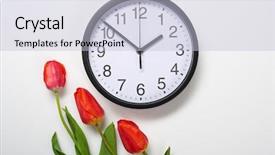  Presentation with white flowers - Presentation consisting of natural tulips flowers and clock background and a light blue colored foreground
