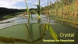  Presentation with underwater - Presentation consisting of natural-underwater-landscape-of-blue background and a tawny brown colored foreground