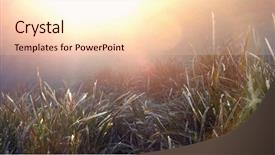  Presentation with seaweed - Audience pleasing slide deck consisting of natural underwater seaweed background backdrop and a lemonade colored foreground