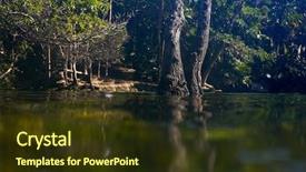  Presentation with groundwater - Slides featuring natural vegetation wildlife - cenote in riviera maya background and a tawny brown colored foreground