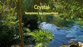 Presentation with groundwater - PPT layouts enhanced with natural vegetation wildlife - cenote in riviera maya background and a tawny brown colored foreground