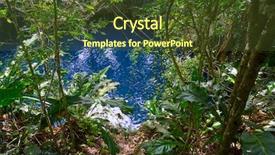  Presentation with rainforest - Slide deck consisting of natural vegetation wildlife - cenote sinkhole in rainforest jungle background and a tawny brown colored foreground