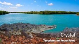  Presentation with maya - Slides with natural vegetation wildlife - crocodile in mexico riviera maya background and a tawny brown colored foreground