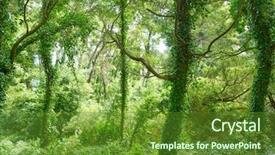  Presentation with forest - Cool new PPT theme with natural vegetation wildlife - islas cies islands forest near backdrop and a  colored foreground