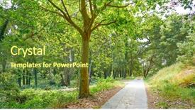  Presentation with forest - Audience pleasing slide deck consisting of natural vegetation wildlife - islas cies islands forest near backdrop and a  colored foreground