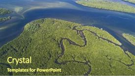  Presentation with mangrove - Slide set featuring natural vegetation wildlife - mangrove forest swamp view background and a tawny brown colored foreground