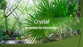  Presentation with rainforest - PPT theme featuring natural vegetation wildlife - riviera maya rainforest jungle background and a shamrock green colored foreground