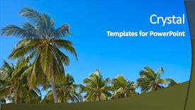  Presentation with mayan - Colorful theme enhanced with natural vegetation wildlife - tulum palm trees jungle backdrop and a gray colored foreground