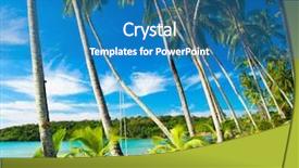  Presentation with coconut leaves for coconut - PPT theme having natural view - coconut coast exotic paradise background and a teal colored foreground