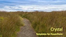  Presentation with tall - Slides having natural walking path across tall button grass and other creeping ground cover plants at cape nelson conservation reserve at at cape bridgewater in victoria australia background and a tawny brown colored foreground
