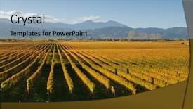  Presentation with new zealand - Cool new PPT layouts with natural wein - view of the vineyards backdrop and a light blue colored foreground