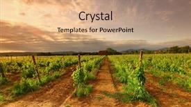  Presentation with honeymoon france - Amazing PPT theme having natural wein - vineyard in france on sunrise backdrop and a coral colored foreground