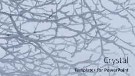 Presentation with winter - Amazing presentation design having natural-winter-abstraction-frost backdrop and a light blue colored foreground