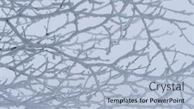  Presentation with fog - Audience pleasing slide set consisting of natural-winter-abstraction-frost backdrop and a light blue colored foreground
