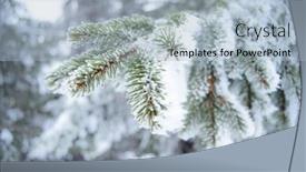  Presentation with snow tree - Slide set featuring winter and christmas background close background and a light blue colored foreground