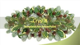  Presentation with flora fauna - Theme featuring natural winter flora decoration background and a tawny brown colored foreground