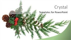  Presentation with new season - Slide set having natural-winter-greenery-with-holly background and a white colored foreground