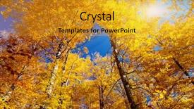  Presentation with diversity bright colors - Audience pleasing slide deck consisting of natural wonders - bright colorful leaves backdrop and a gold colored foreground