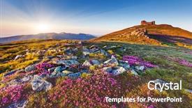  Presentation with purple orchids pink flowers orchid - Slides enhanced with natural wonders - magic pink rhododendron flowers background and a tawny brown colored foreground
